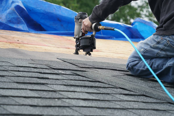 Best Roof Gutter Cleaning  in Loop, PA